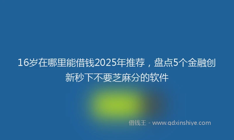 16岁在哪里能借钱2025年推荐，盘点5个金融创新秒下不要芝麻分的软件