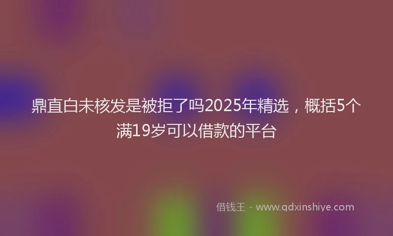 鼎直白未核发是被拒了吗2025年精选，概括5个满19岁可以借款的平台