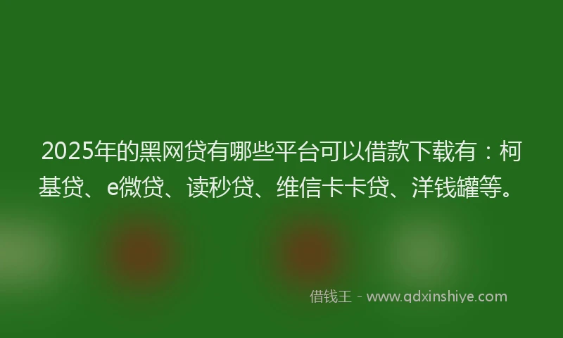 2025年的黑网贷有哪些平台可以借款下载有：柯基贷、e微贷、读秒贷、维信卡卡贷、洋钱罐等。