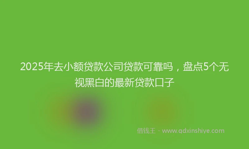 2025年去小额贷款公司贷款可靠吗，盘点5个无视黑白的最新贷款口子
