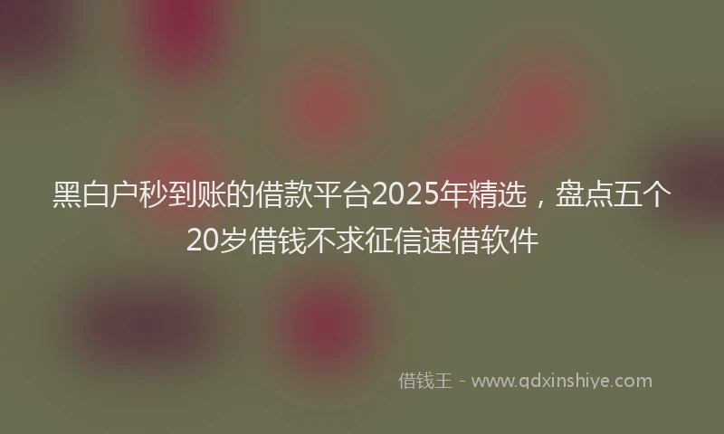 黑白户秒到账的借款平台2025年精选，盘点五个20岁借钱不求征信速借软件