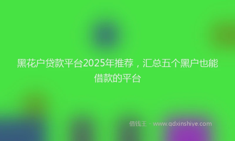 黑花户贷款平台2025年推荐，汇总五个黑户也能借款的平台