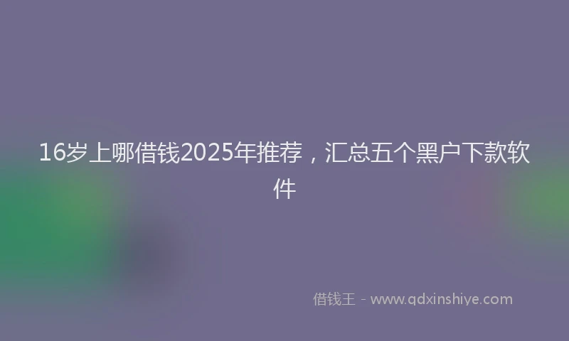 16岁上哪借钱2025年推荐，汇总五个黑户下款软件
