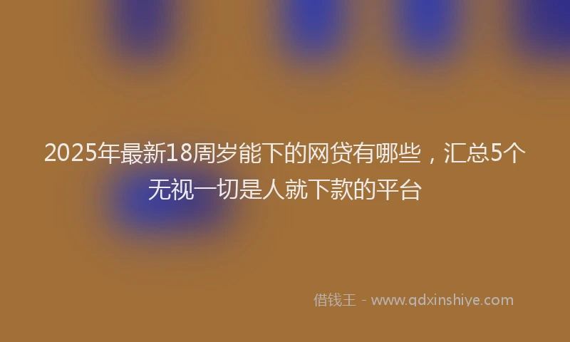 2025年最新18周岁能下的网贷有哪些，汇总5个无视一切是人就下款的平台