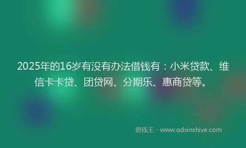 2025年的16岁有没有办法借钱有：小米贷款、维信卡卡贷、团贷网、分期乐、惠商贷等。