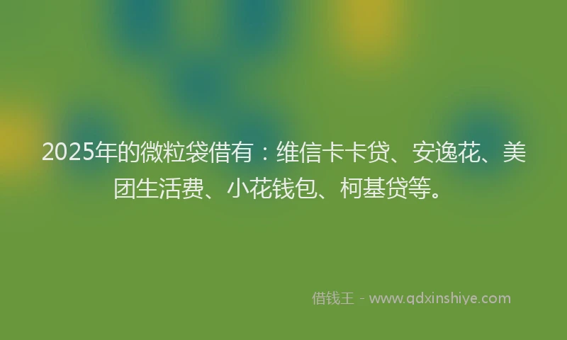 2025年的微粒袋借有：维信卡卡贷、安逸花、美团生活费、小花钱包、柯基贷等。