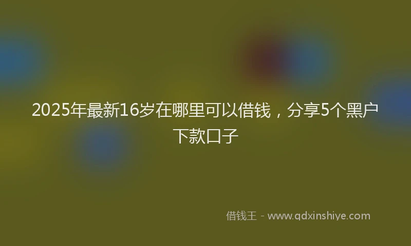 2025年最新16岁在哪里可以借钱，分享5个黑户下款口子