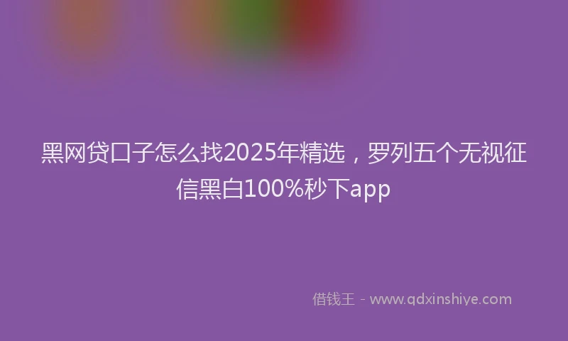 黑网贷口子怎么找2025年精选，罗列五个无视征信黑白100%秒下app