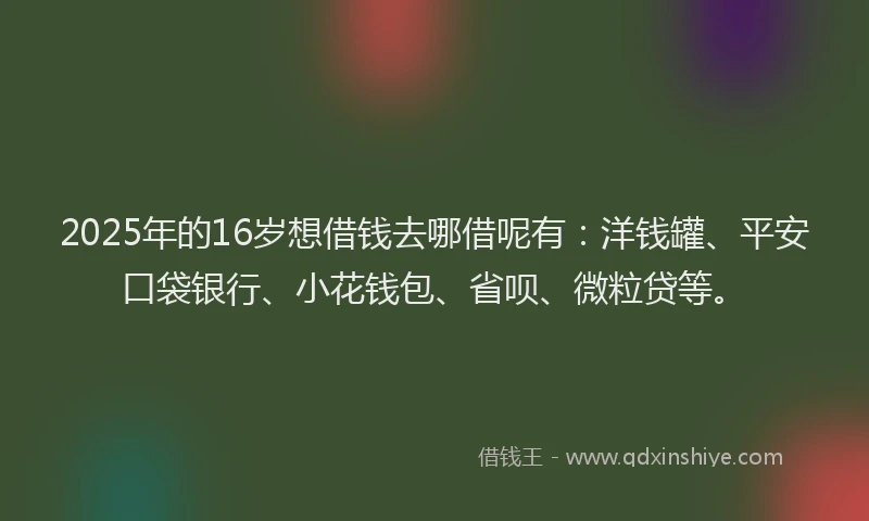 2025年的16岁想借钱去哪借呢有：洋钱罐、平安口袋银行、小花钱包、省呗、微粒贷等。