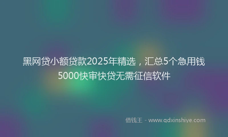 黑网贷小额贷款2025年精选，汇总5个急用钱5000快审快贷无需征信软件