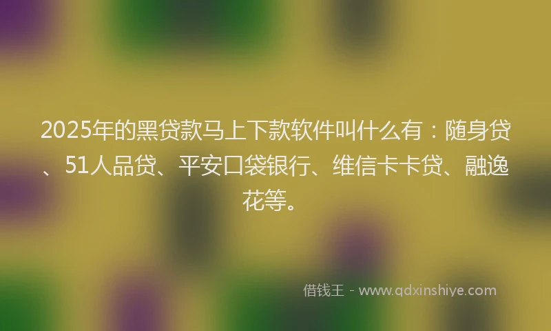 2025年的黑贷款马上下款软件叫什么有：随身贷、51人品贷、平安口袋银行、维信卡卡贷、融逸花等。