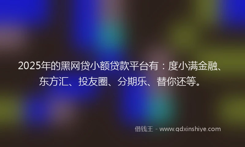 2025年的黑网贷小额贷款平台有：度小满金融、东方汇、投友圈、分期乐、替你还等。