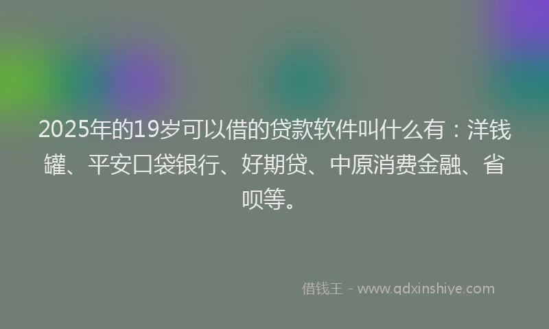 2025年的19岁可以借的贷款软件叫什么有：洋钱罐、平安口袋银行、好期贷、中原消费金融、省呗等。