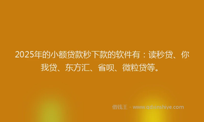 2025年的小额贷款秒下款的软件有：读秒贷、你我贷、东方汇、省呗、微粒贷等。