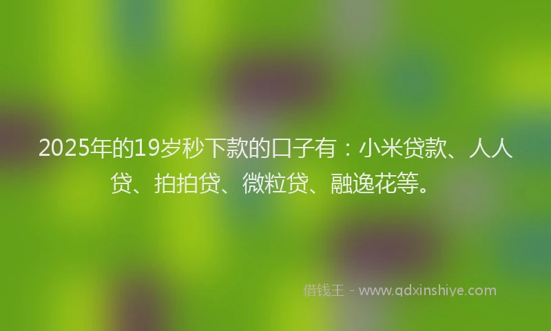 2025年的19岁秒下款的口子有：小米贷款、人人贷、拍拍贷、微粒贷、融逸花等。