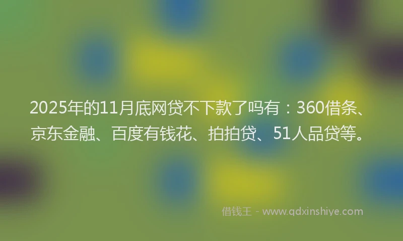 2025年的11月底网贷不下款了吗有：360借条、京东金融、百度有钱花、拍拍贷、51人品贷等。