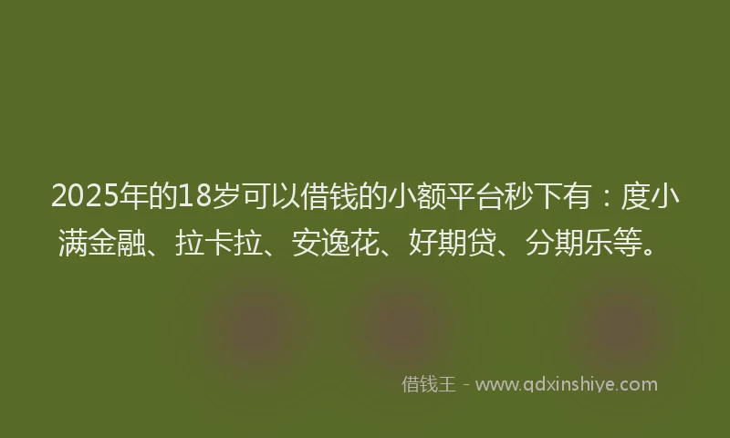 2025年的18岁可以借钱的小额平台秒下有：度小满金融、拉卡拉、安逸花、好期贷、分期乐等。