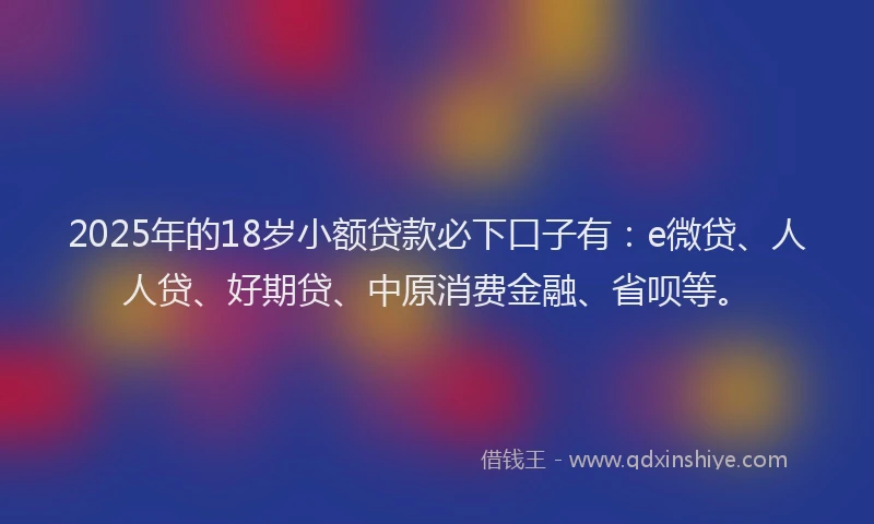 2025年的18岁小额贷款必下口子有：e微贷、人人贷、好期贷、中原消费金融、省呗等。