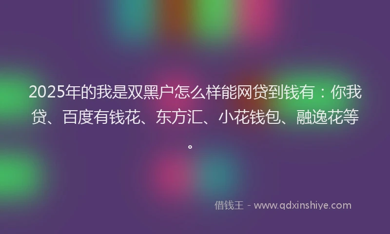 2025年的我是双黑户怎么样能网贷到钱有：你我贷、百度有钱花、东方汇、小花钱包、融逸花等。