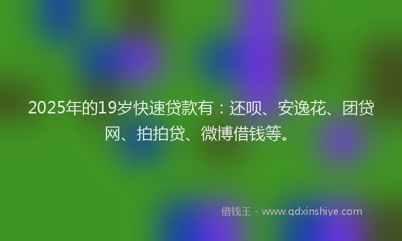 2025年的19岁快速贷款有：还呗、安逸花、团贷网、拍拍贷、微博借钱等。