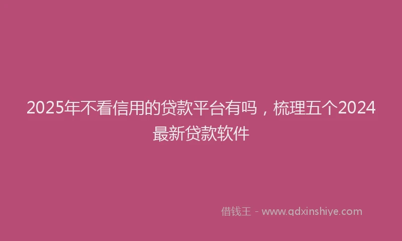 2025年不看信用的贷款平台有吗，梳理五个2024最新贷款软件