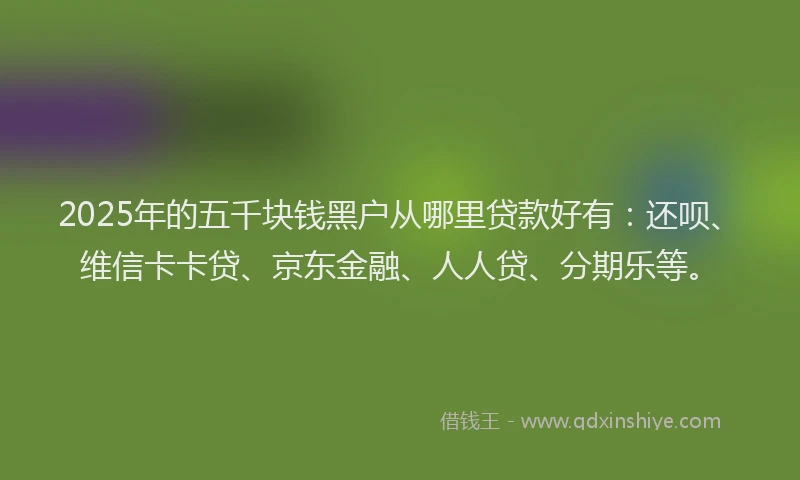 2025年的五千块钱黑户从哪里贷款好有：还呗、维信卡卡贷、京东金融、人人贷、分期乐等。
