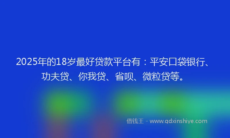 2025年的18岁最好贷款平台有：平安口袋银行、功夫贷、你我贷、省呗、微粒贷等。