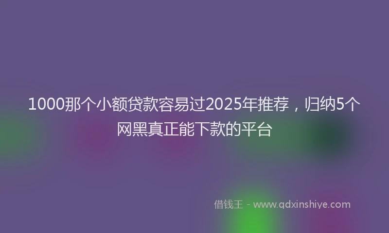 1000那个小额贷款容易过2025年推荐，归纳5个网黑真正能下款的平台