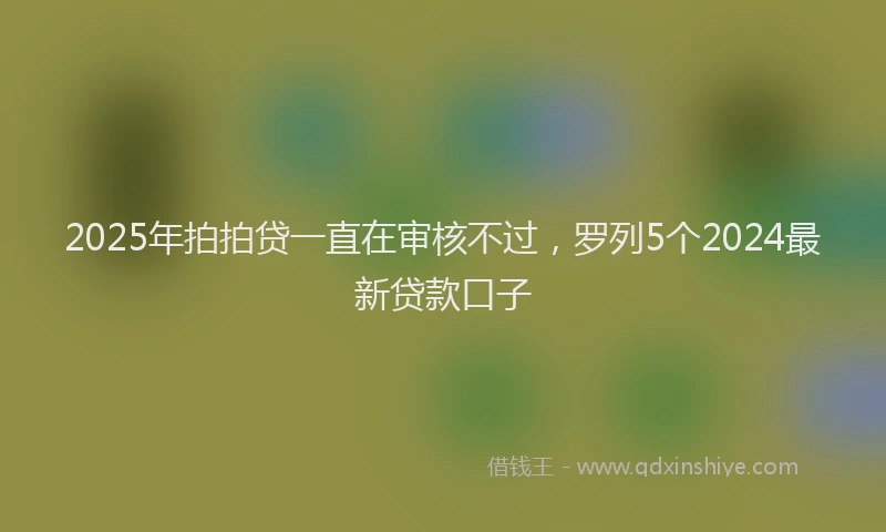 2025年拍拍贷一直在审核不过，罗列5个2024最新贷款口子