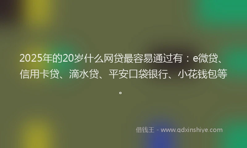 2025年的20岁什么网贷最容易通过有：e微贷、信用卡贷、滴水贷、平安口袋银行、小花钱包等。