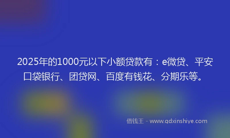2025年的1000元以下小额贷款有：e微贷、平安口袋银行、团贷网、百度有钱花、分期乐等。