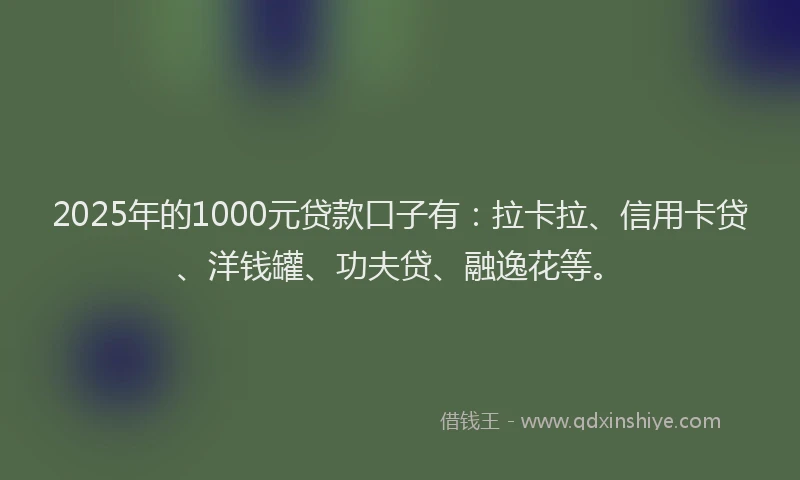 2025年的1000元贷款口子有：拉卡拉、信用卡贷、洋钱罐、功夫贷、融逸花等。