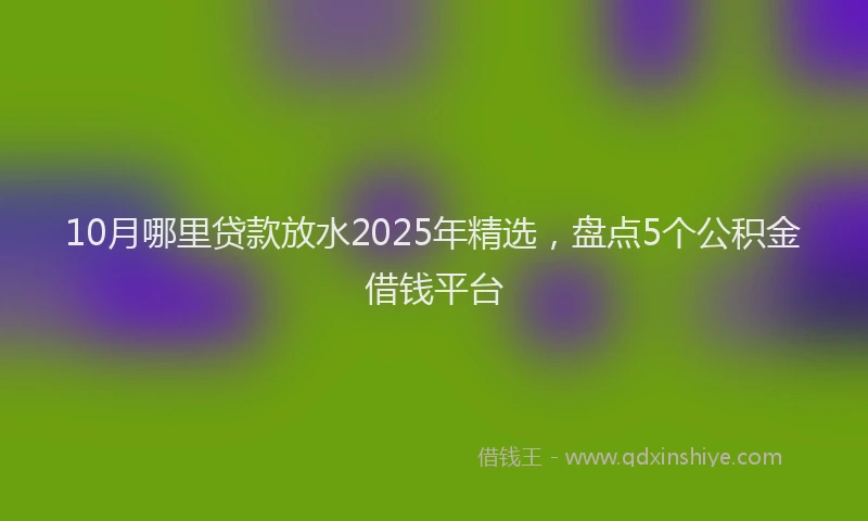10月哪里贷款放水2025年精选，盘点5个公积金借钱平台