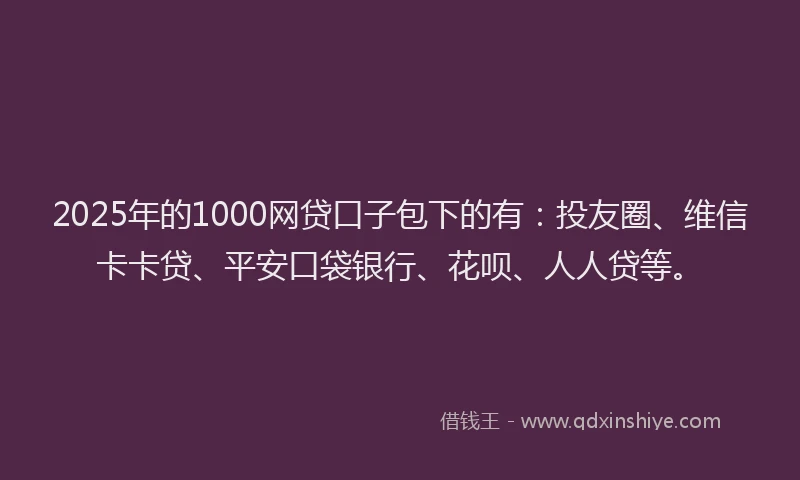 2025年的1000网贷口子包下的有：投友圈、维信卡卡贷、平安口袋银行、花呗、人人贷等。