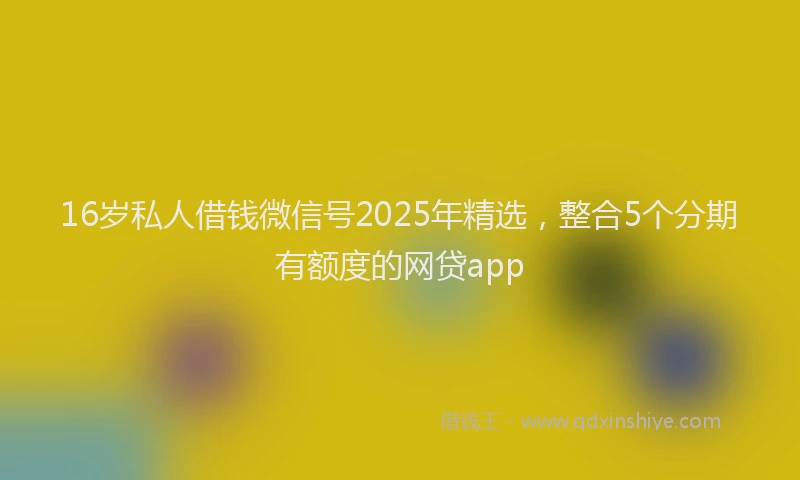 16岁私人借钱微信号2025年精选，整合5个分期有额度的网贷app