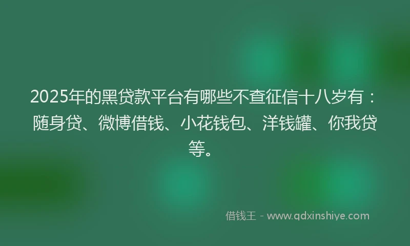 2025年的黑贷款平台有哪些不查征信十八岁有：随身贷、微博借钱、小花钱包、洋钱罐、你我贷等。