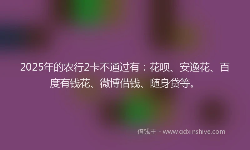 2025年的农行2卡不通过有：花呗、安逸花、百度有钱花、微博借钱、随身贷等。