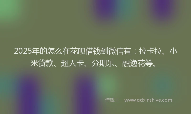 2025年的怎么在花呗借钱到微信有：拉卡拉、小米贷款、超人卡、分期乐、融逸花等。