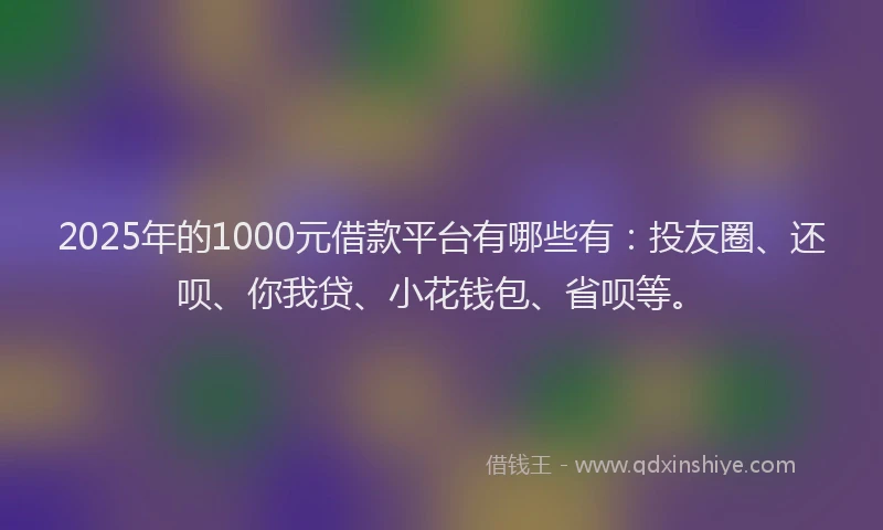2025年的1000元借款平台有哪些有：投友圈、还呗、你我贷、小花钱包、省呗等。