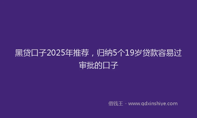 黑贷口子2025年推荐，归纳5个19岁贷款容易过审批的口子