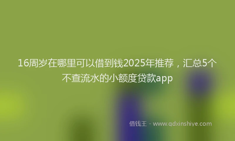 16周岁在哪里可以借到钱2025年推荐，汇总5个不查流水的小额度贷款app