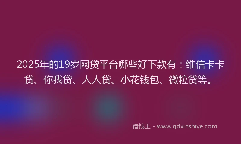 2025年的19岁网贷平台哪些好下款有：维信卡卡贷、你我贷、人人贷、小花钱包、微粒贷等。