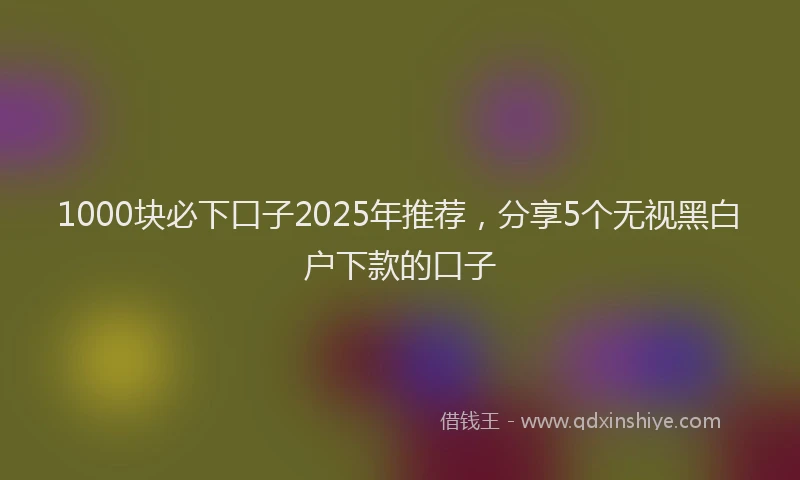 1000块必下口子2025年推荐，分享5个无视黑白户下款的口子