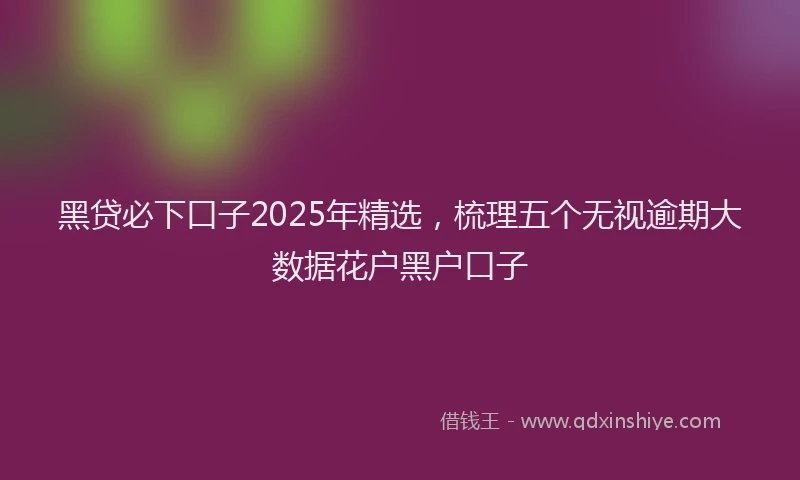 黑贷必下口子2025年精选，梳理五个无视逾期大数据花户黑户口子