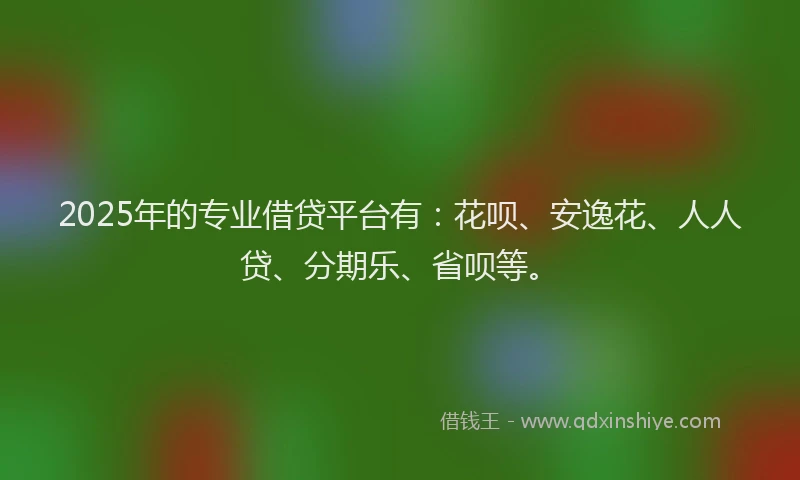 2025年的专业借贷平台有：花呗、安逸花、人人贷、分期乐、省呗等。