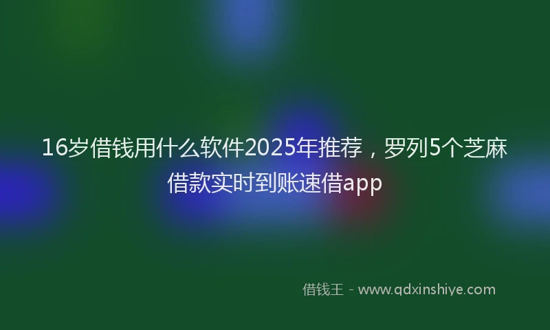 16岁借钱用什么软件2025年推荐，罗列5个芝麻借款实时到账速借app