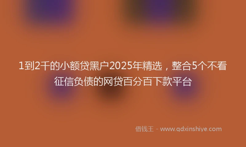 1到2千的小额贷黑户2025年精选，整合5个不看征信负债的网贷百分百下款平台