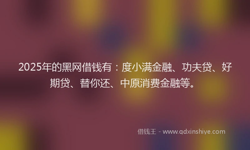 2025年的黑网借钱有：度小满金融、功夫贷、好期贷、替你还、中原消费金融等。
