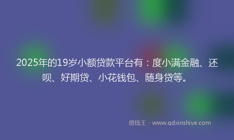 2025年的19岁小额贷款平台有：度小满金融、还呗、好期贷、小花钱包、随身贷等。