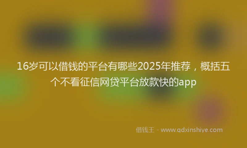 16岁可以借钱的平台有哪些2025年推荐，概括五个不看征信网贷平台放款快的app